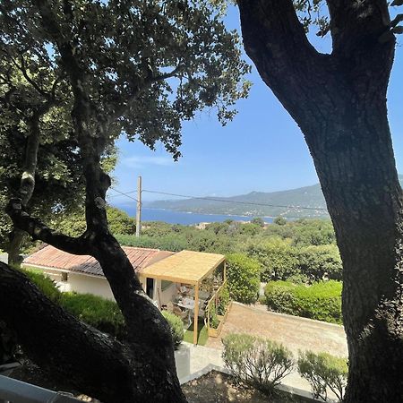 Résidence île de beauté Propriano  Exterior foto