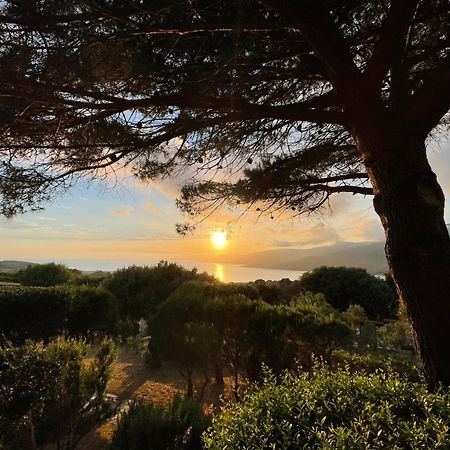 Résidence île de beauté Propriano  Exterior foto