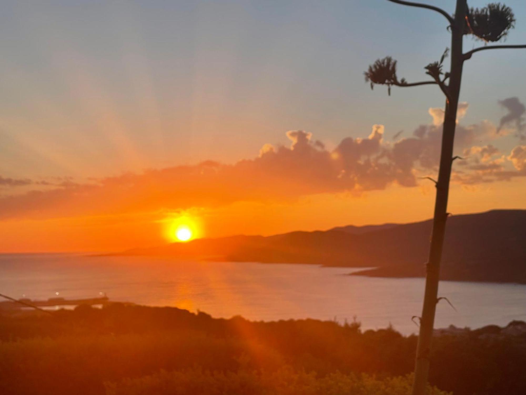 Résidence île de beauté Propriano  Exterior foto