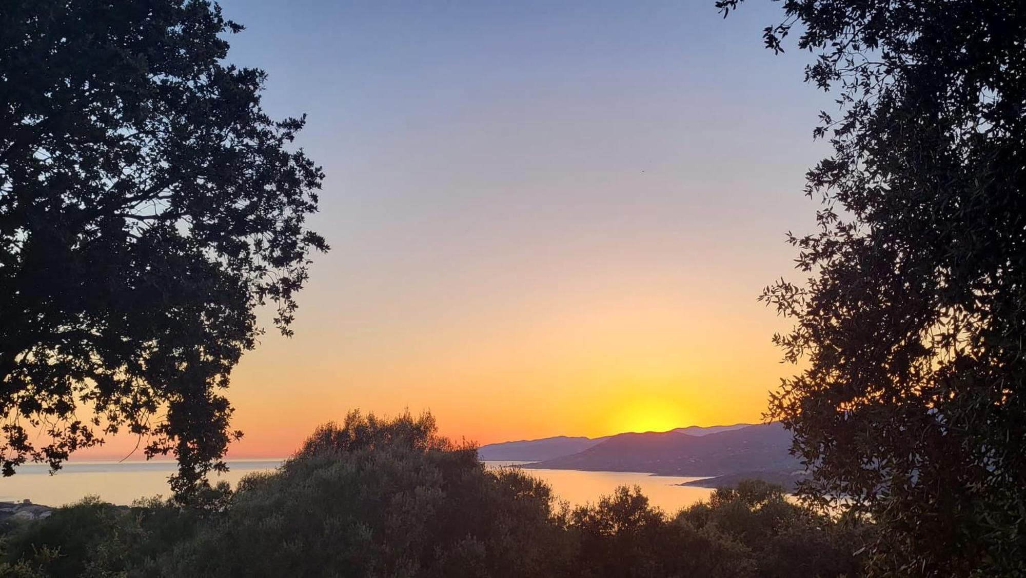 Résidence île de beauté Propriano  Exterior foto