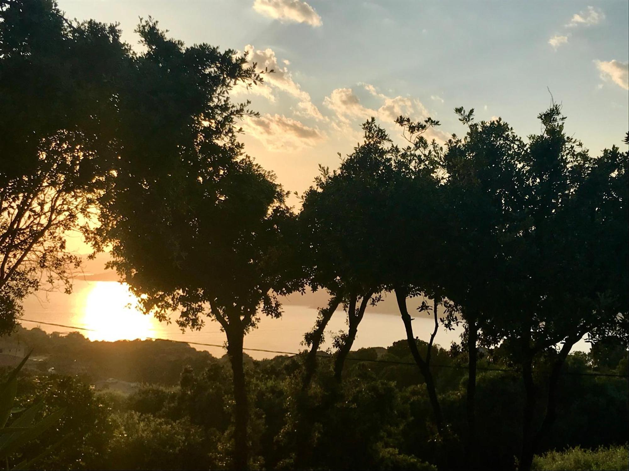 Résidence île de beauté Propriano  Exterior foto