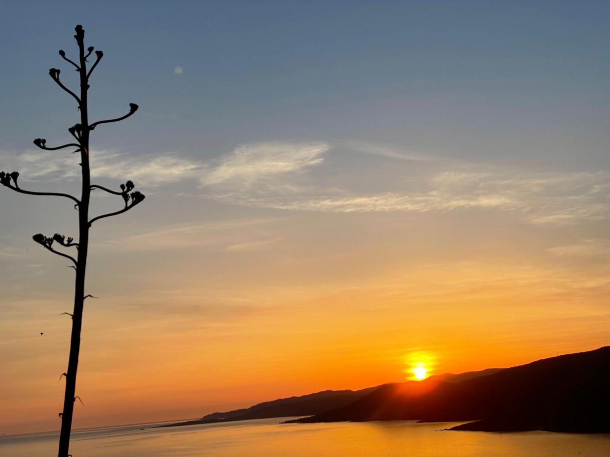 Résidence île de beauté Propriano  Exterior foto