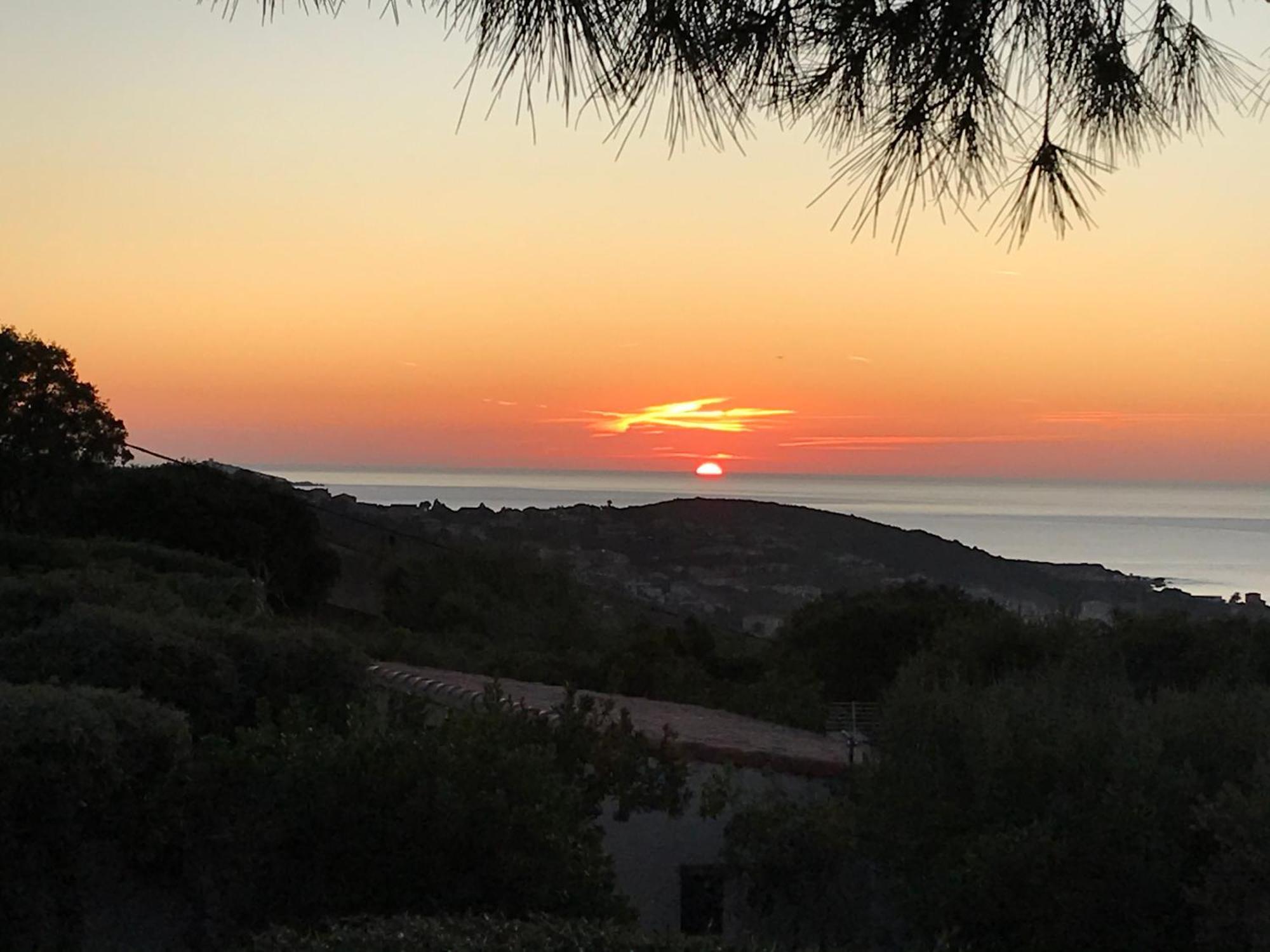 Résidence île de beauté Propriano  Exterior foto