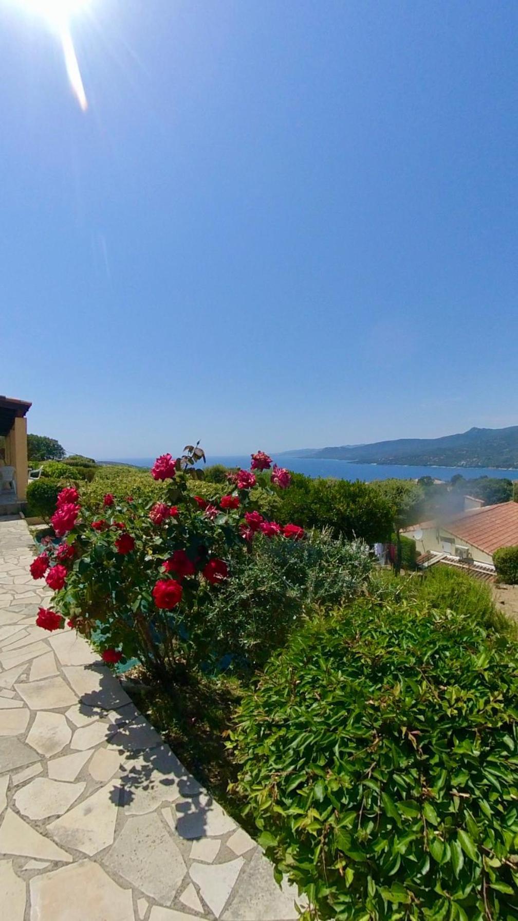 Résidence île de beauté Propriano  Exterior foto