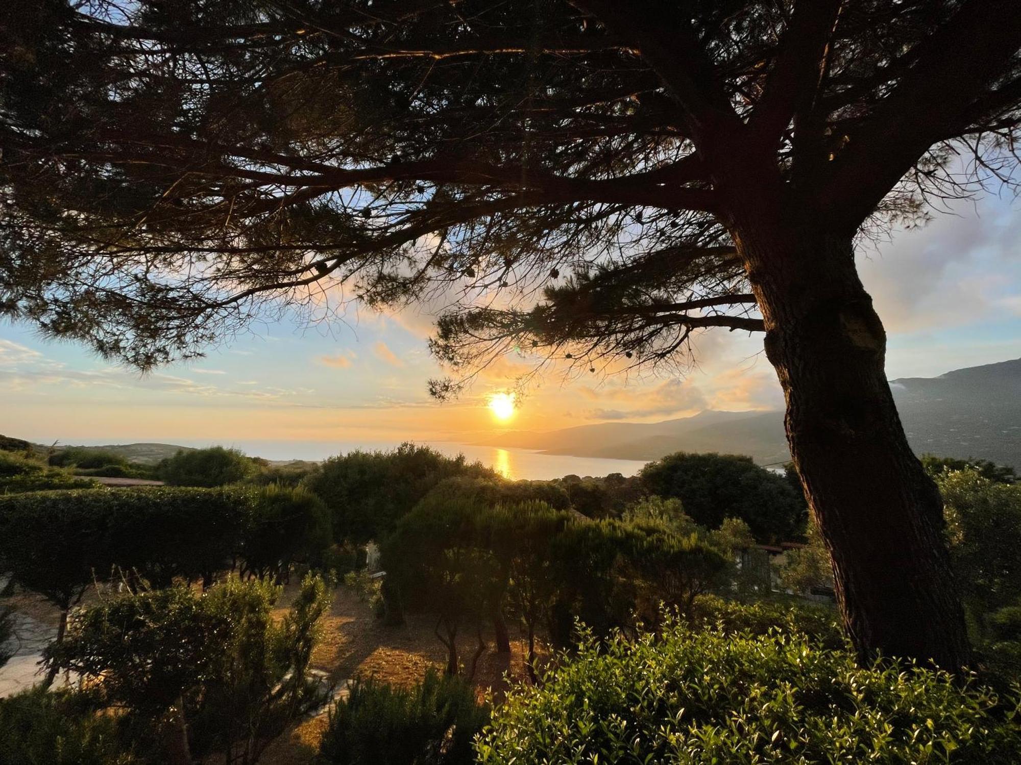 Résidence île de beauté Propriano  Exterior foto