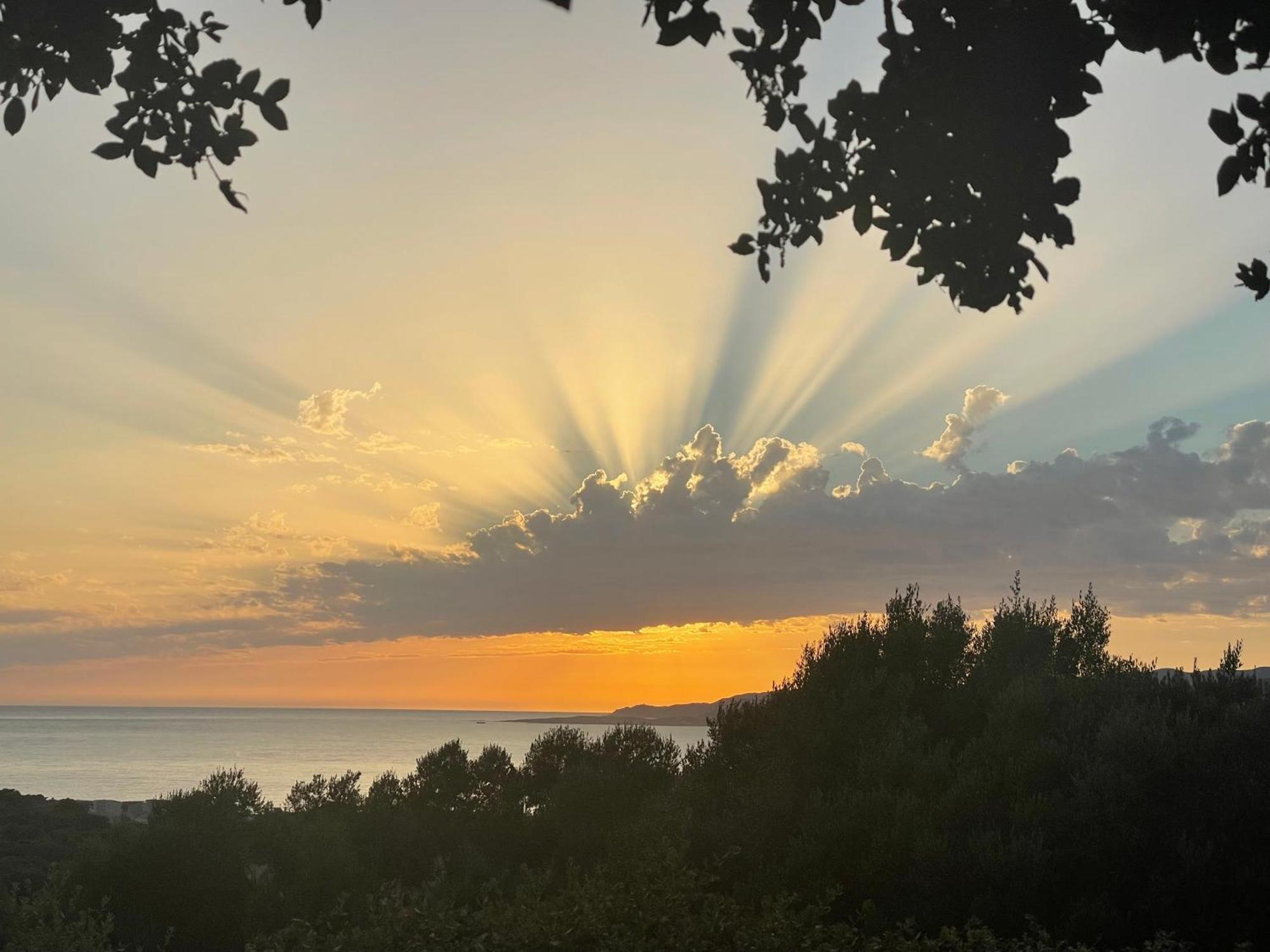 Résidence île de beauté Propriano  Exterior foto