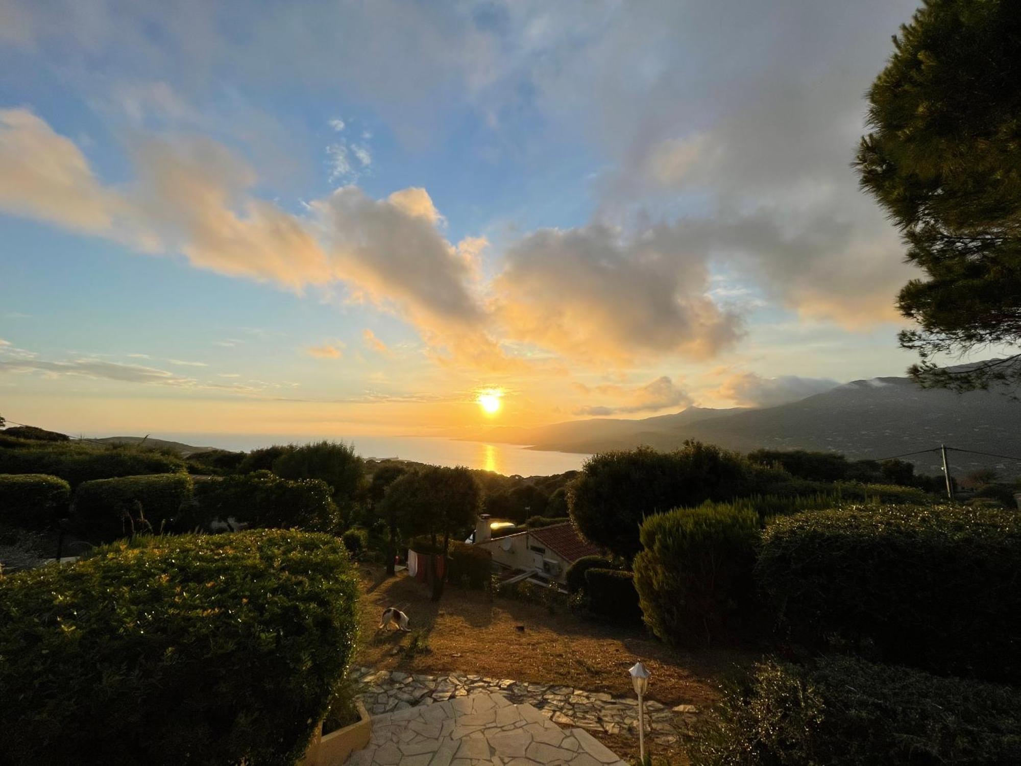 Résidence île de beauté Propriano  Exterior foto
