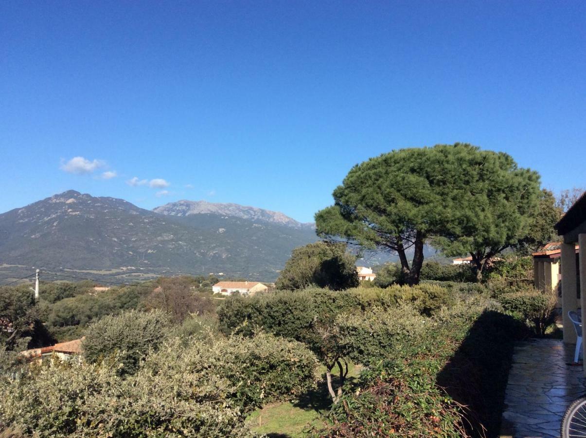 Résidence île de beauté Propriano  Exterior foto