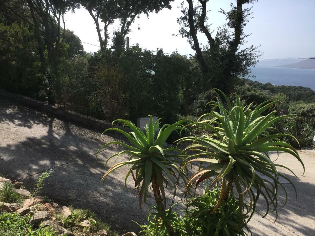 Résidence île de beauté Propriano  Exterior foto
