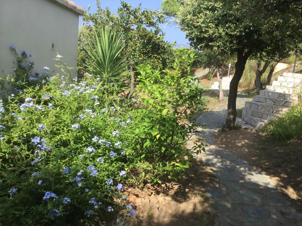 Résidence île de beauté Propriano  Exterior foto